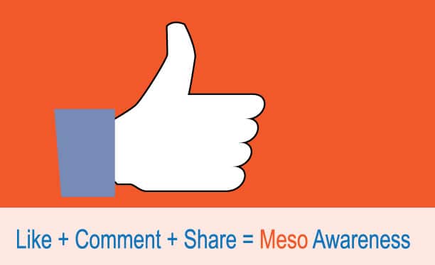 Meso Facebook Like