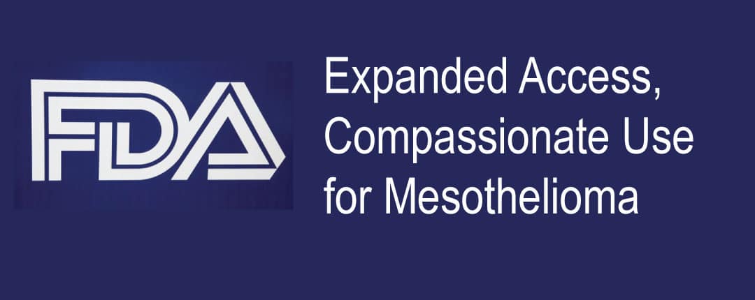 mesothelioma pleural effusion type