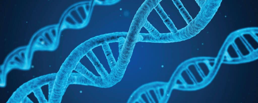 genetics and mesothelioma