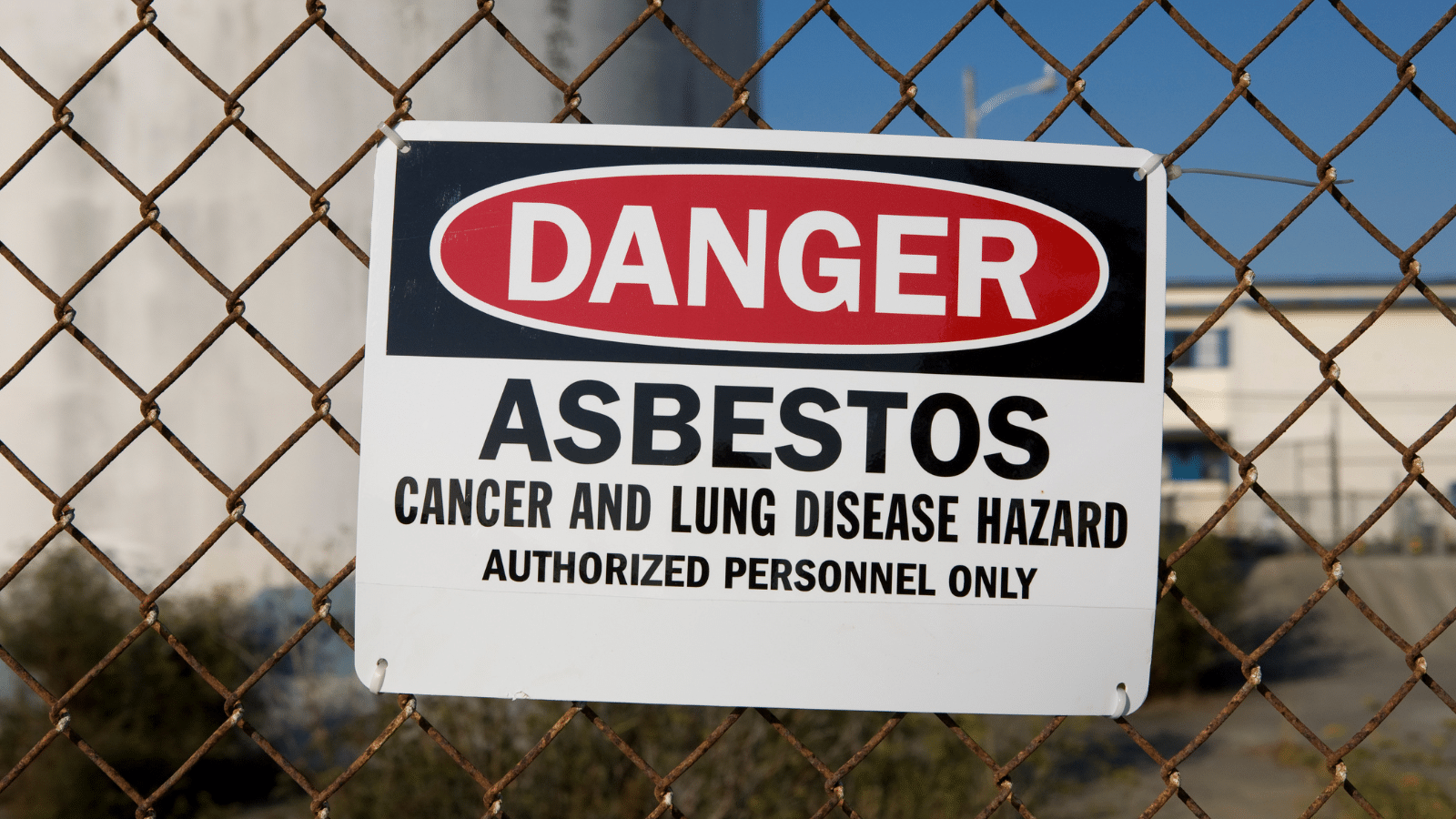 ban on asbestos